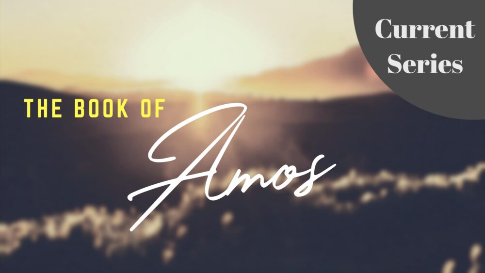 Amos (Current Series)