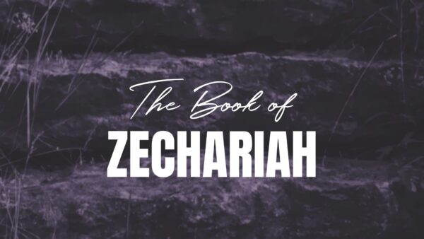 Zechariah 1:1-17 Image