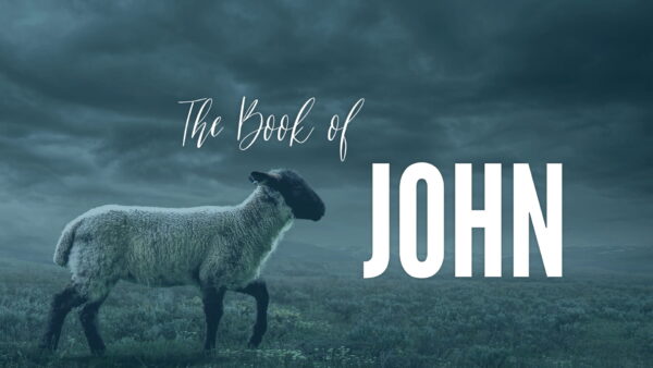 John 10:1-42 Image