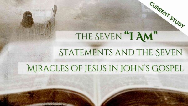 Jesus, the True Vine - John 15:1-11 Image