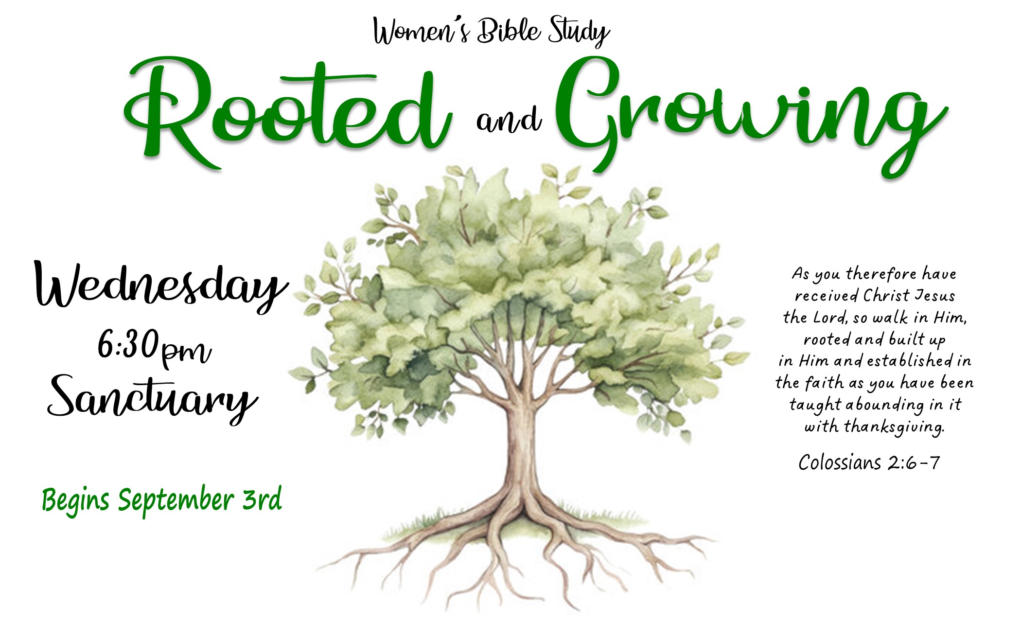 Web - bible studies